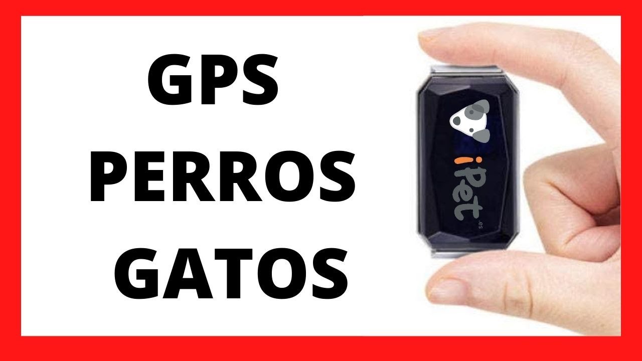 Unboxing 🐶 iPet GPS para perros y gatos. Nuevos localizadores para  mascotas