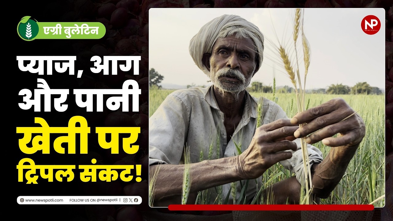 प्‍याज का भाव क्‍यों ग‍िर रहा, गेहूं पर संकट? कैसा रहेगा मौसम | Agri bulletin | News Potli