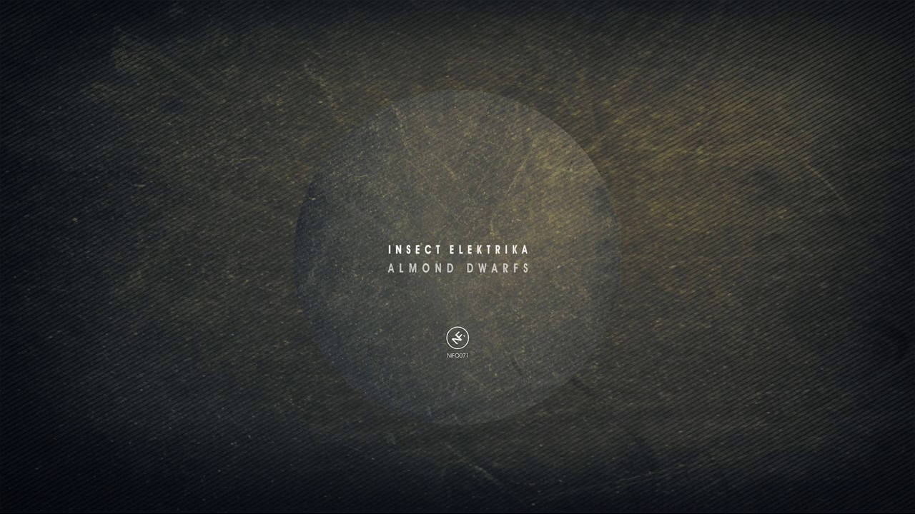 Insect Elektrika  - Mr. Porky Simply Knows (Original Mix) [ Ninefont music]
