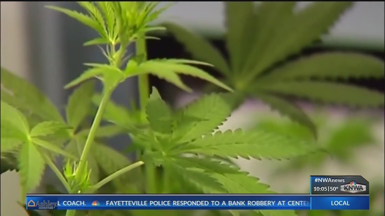 Arkansas Dispensaries to Start Selling in Less Than a Month