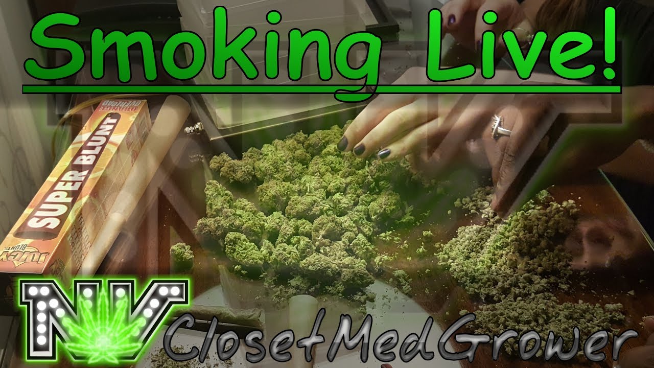 Smoking Live! an impromptu live smoke session.