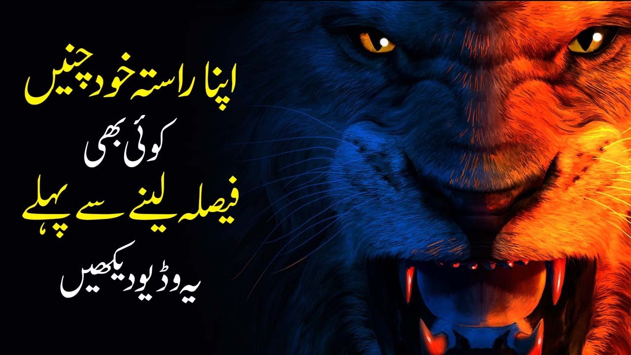Choose Your Path of Success urdu hindi | How to Take Right Decision Inspirational Speech