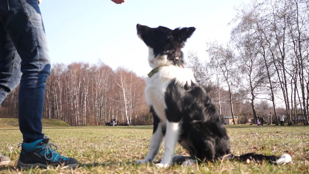 Pojke 6 months