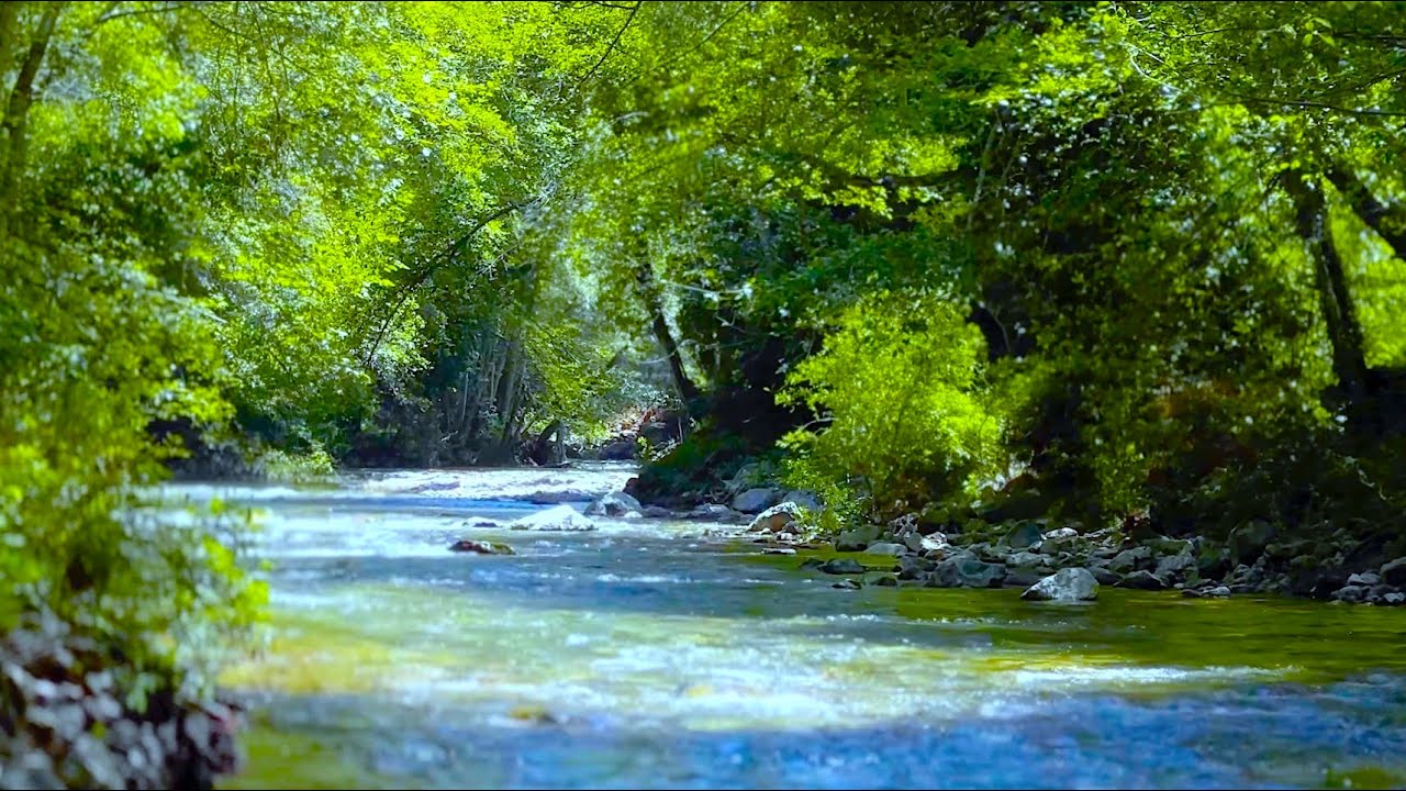 Meditation Stress Relief Music - 