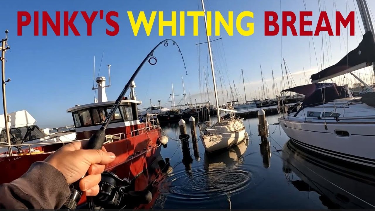 LAND BASED STRUCTURE FISHING IN GEELONG