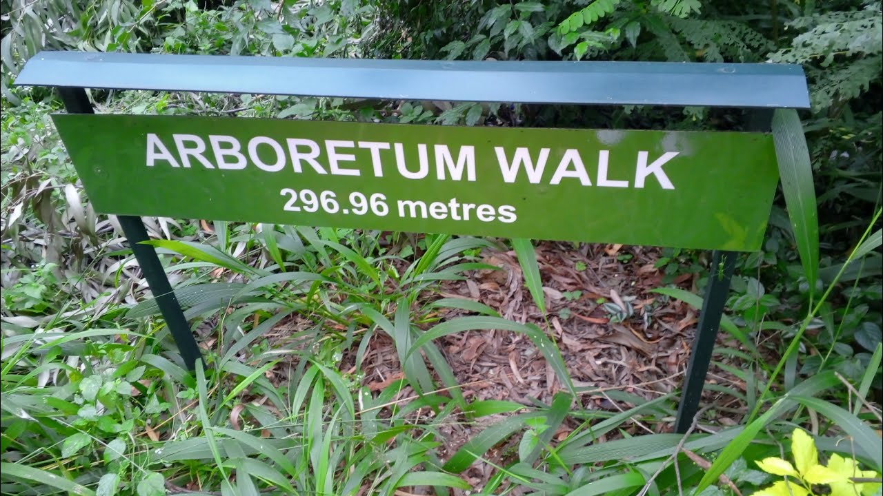 The Nairobi Arboretum Kenya, a forest in the city #arboretum
