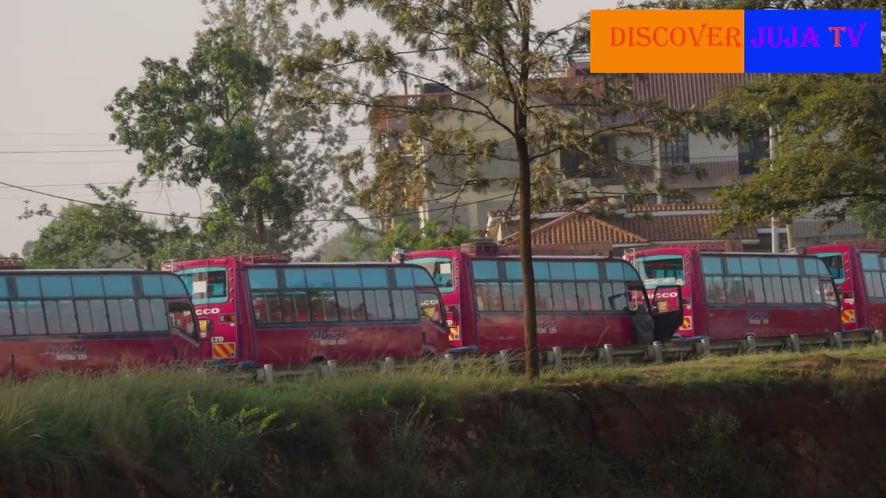 Long Line of NICCO and Super Metro Buses at Juja Stage