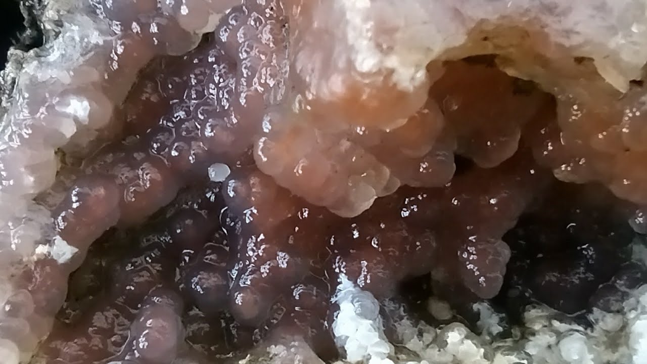 R&eacute;sultats prospection sortie 3 ( agate, calc&eacute;doine, cornaline,made in  France) beautiful gem