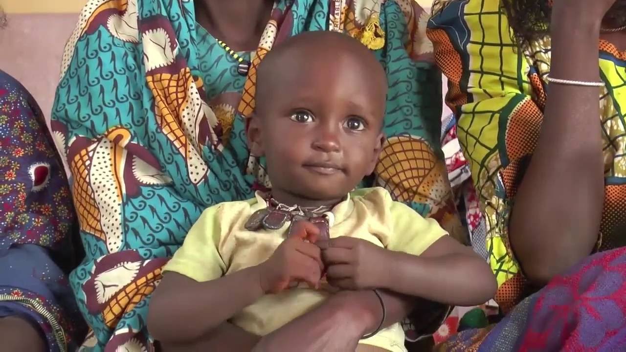 L'Adamaoua c&eacute;l&egrave;bre 12 mois sans polio...