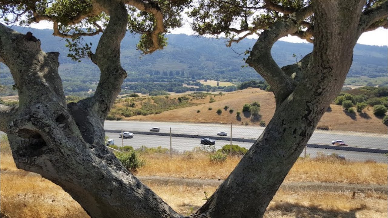 Penatrada at Gate Vista Point- The Bloat Floaters