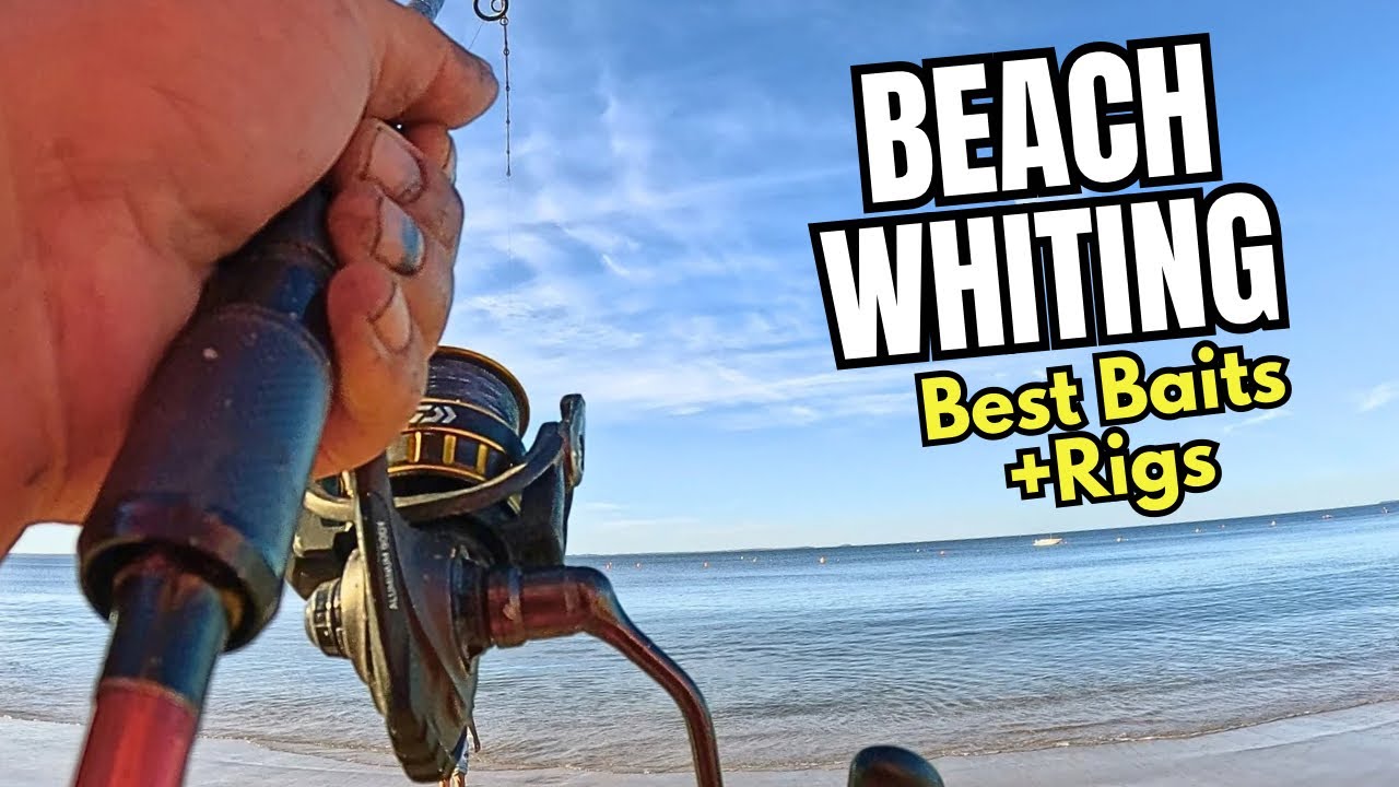 This Beach Produces Whiting! Land-Based Fishing Guide – Balnarring 2025