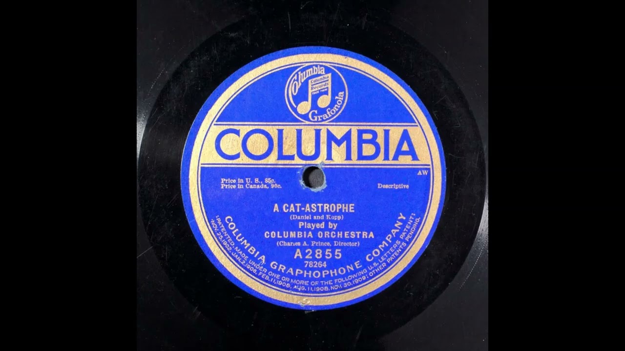 A cat-astrophe - Columbia Orchestra
