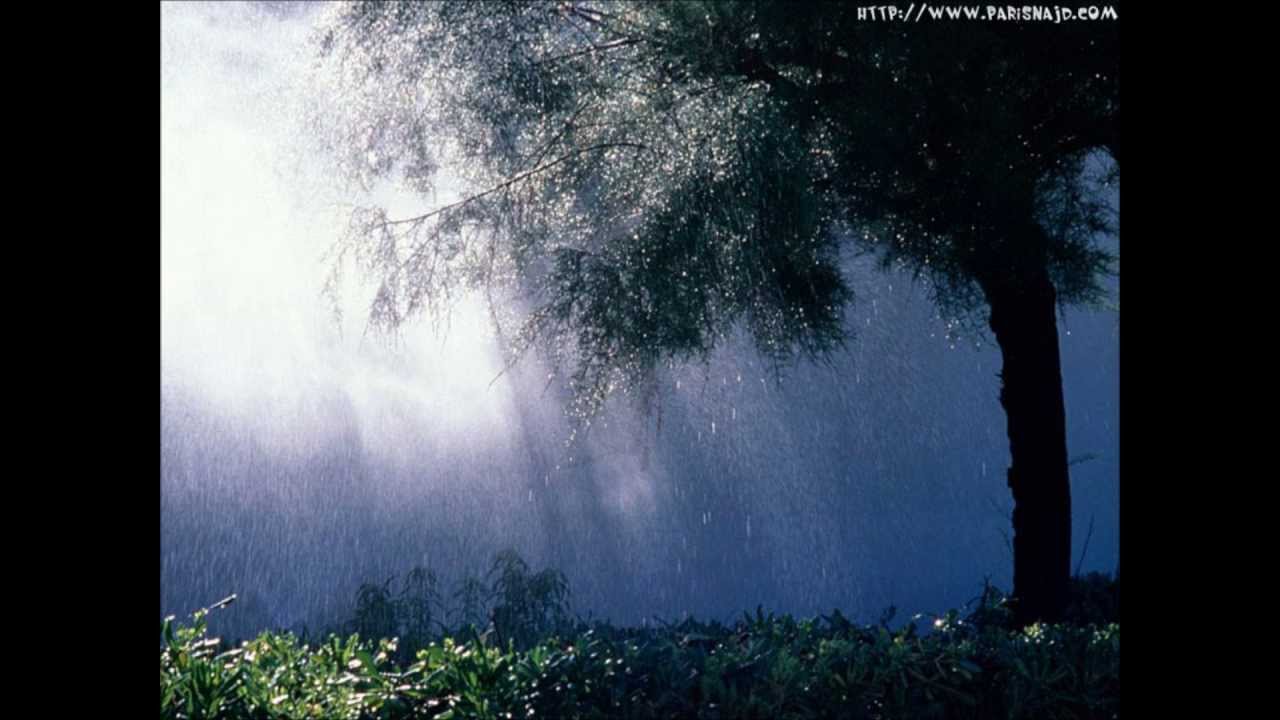 تلاوة خاشعة ومميزة لفضيلة الشيخ محمد الرمحي - ليلة الخامس من رمضان Very influential 1434