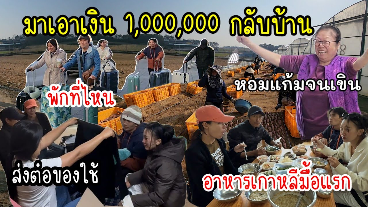 EP.945 พาน้องๆ ญาติๆ มาเป็นแรงงานไทยในเกาหลี พักยังไงกินอยู่ยังไง ทำงานอะไรไปลุยกัน
