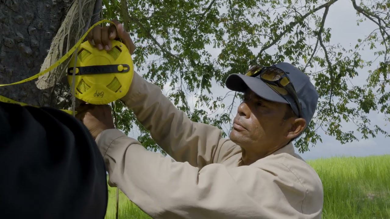 Alianza estratégica para la revitalización del bosque seco tropical en Colombia