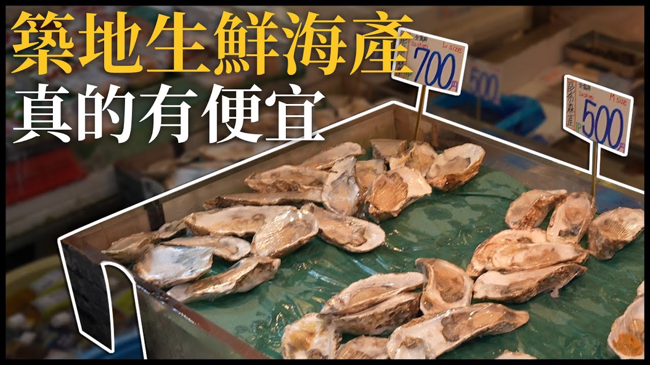 便宜的築地新鮮海產 | 快閃日本出差VLOG [cc字幕]