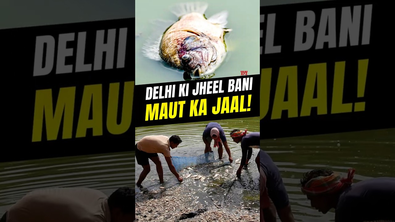 🚨 Delhi&rsquo;s Sanjay Lake is Dying: A Warning We Can't Ignore