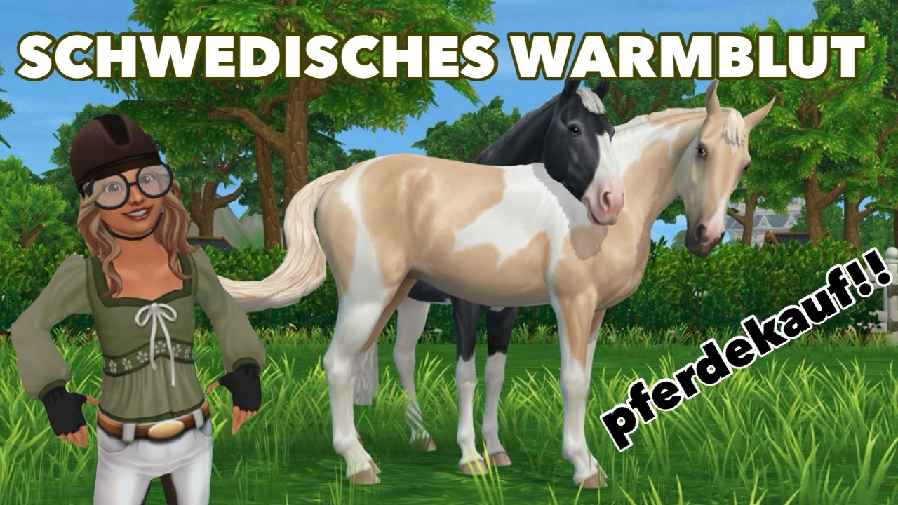 ICH KAUFE DAS NEUE SCHWEDISCHE WARMBLUT! Star Stable Online