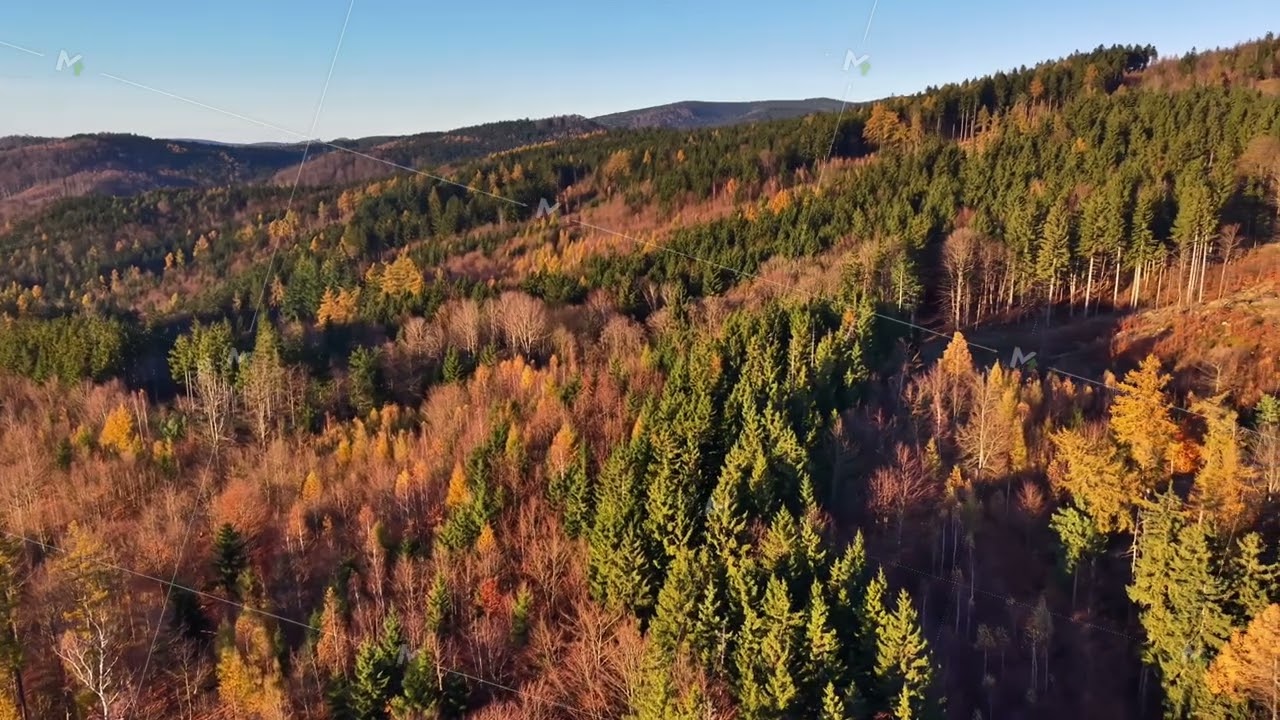 scenic fall forest canopies with hills, serene rural scene featuring autumn leaves and lush greenery