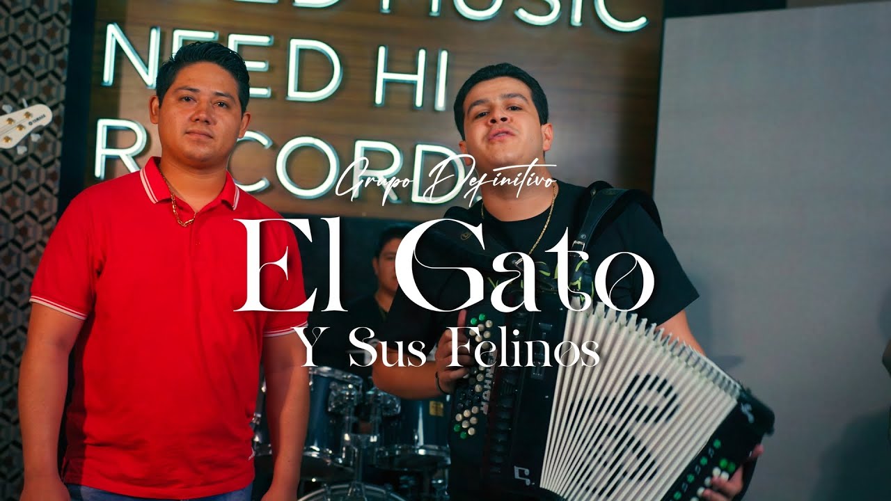 Grupo Definitivo - El Gato Y Sus Felinos (Video Oficial)