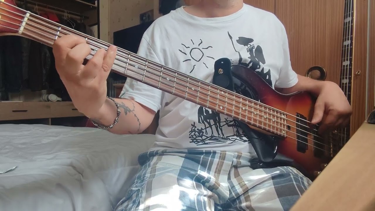 On The Beach Chris Rea Bass Cover