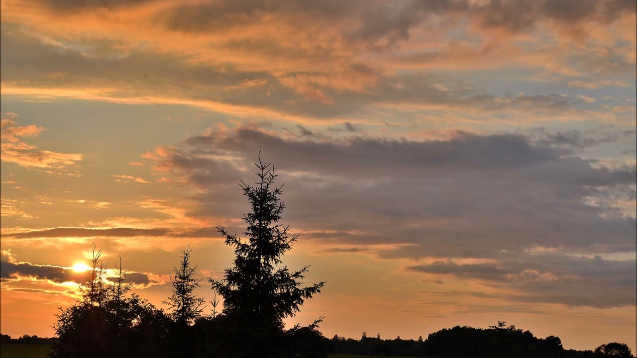 Juba linnukesed väljas laulavad.