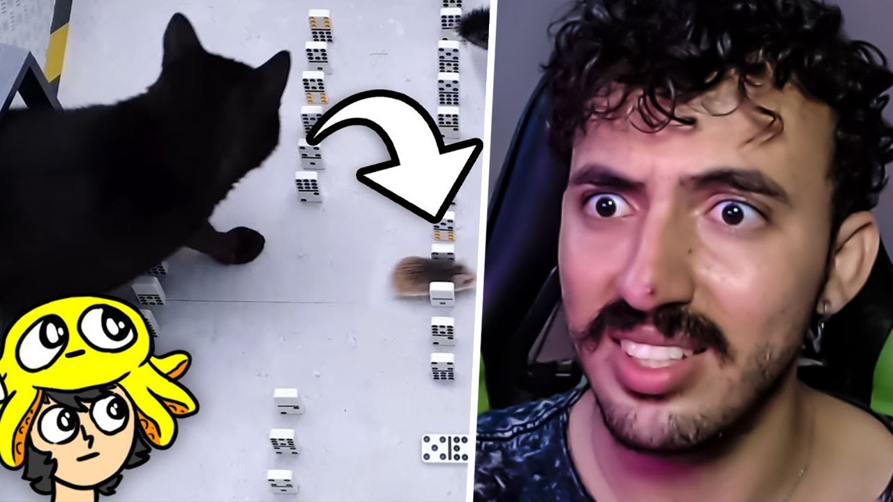 apostando em MAIS animais pra ver qual o melhor - SAIKO | Leozin React