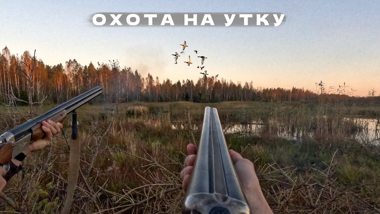 Осенняя охота на УТКУ! Скромная добыча и великолепные закаты.