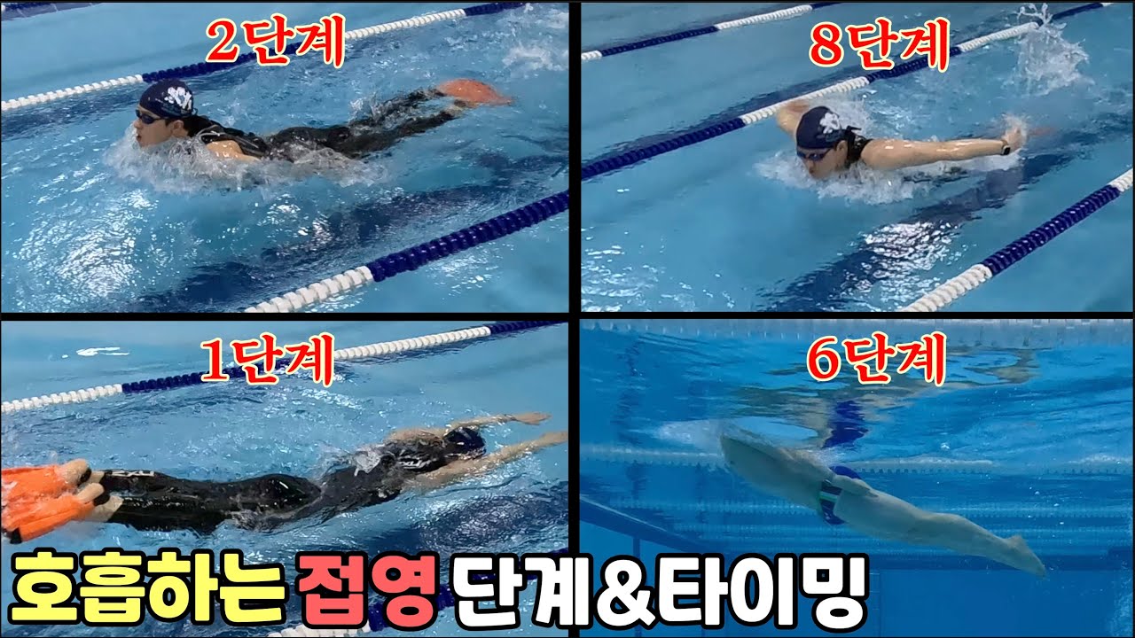 순서대로만 해보면 쉽게 터득하는 호흡 접영&출수타이밍 / 단계별 접영 연습 / 접영드릴