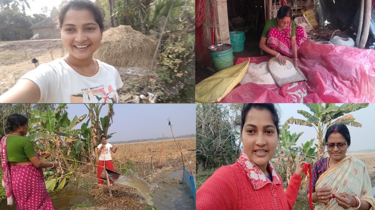 সুন্দরবনের প্রত্যন্ত গ্রামে কষ্টকর জীবন যাপন/ধান খেতে জল দিলাম/গরুর গোবরে উঠোন লেপা।