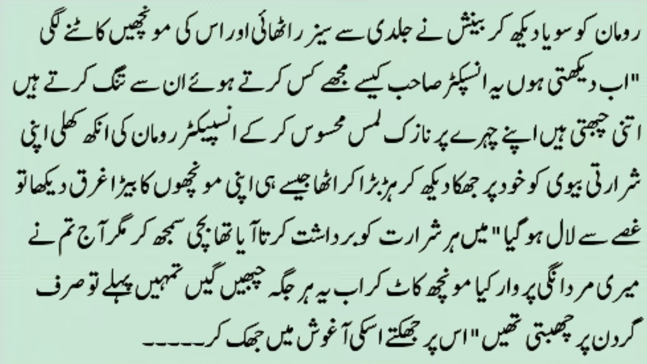 LOVELY NOVEL 