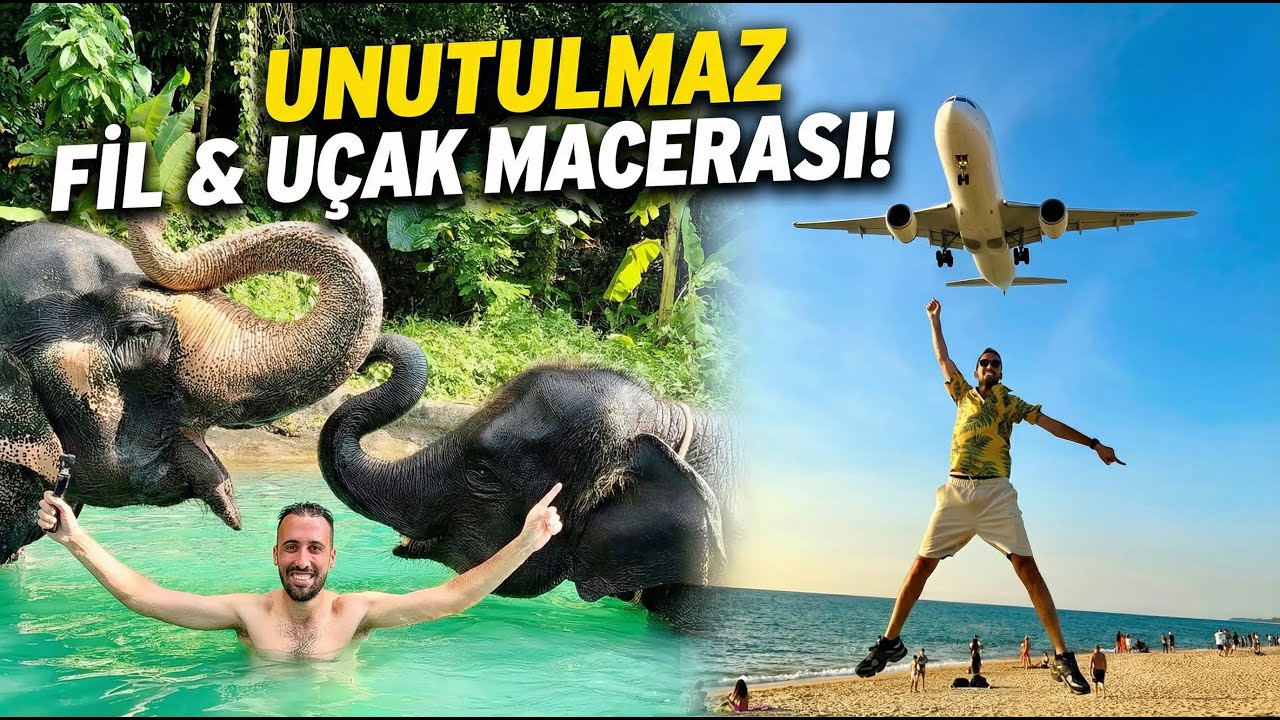TAYLAND'da FİLLER VE UÇAKLARLA MACERA DOLU BİR GÜN GEÇİRDİM-#eliphant #maikhaobeach