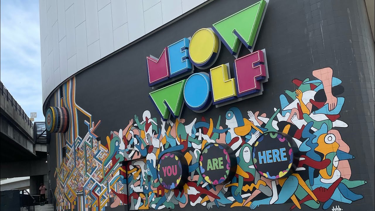 Meow Wolf Visit What to Expect?