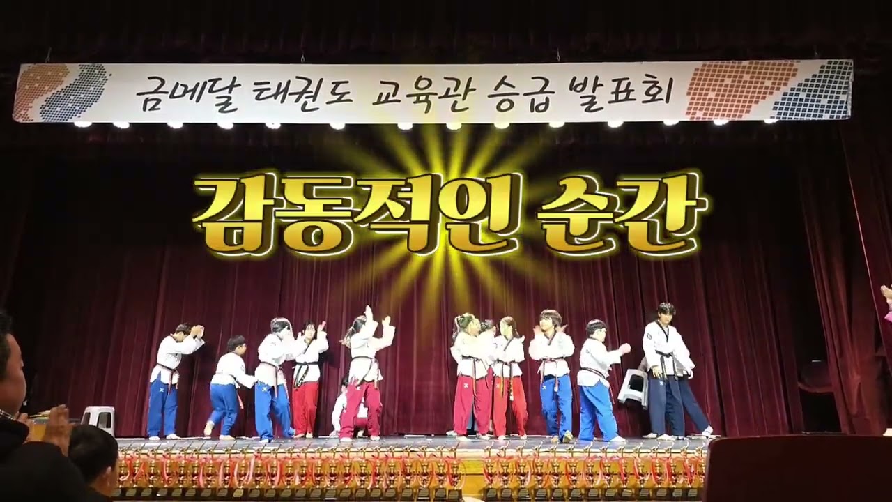 사범님과 함께 시범단 태권체조🔥🔥🔥