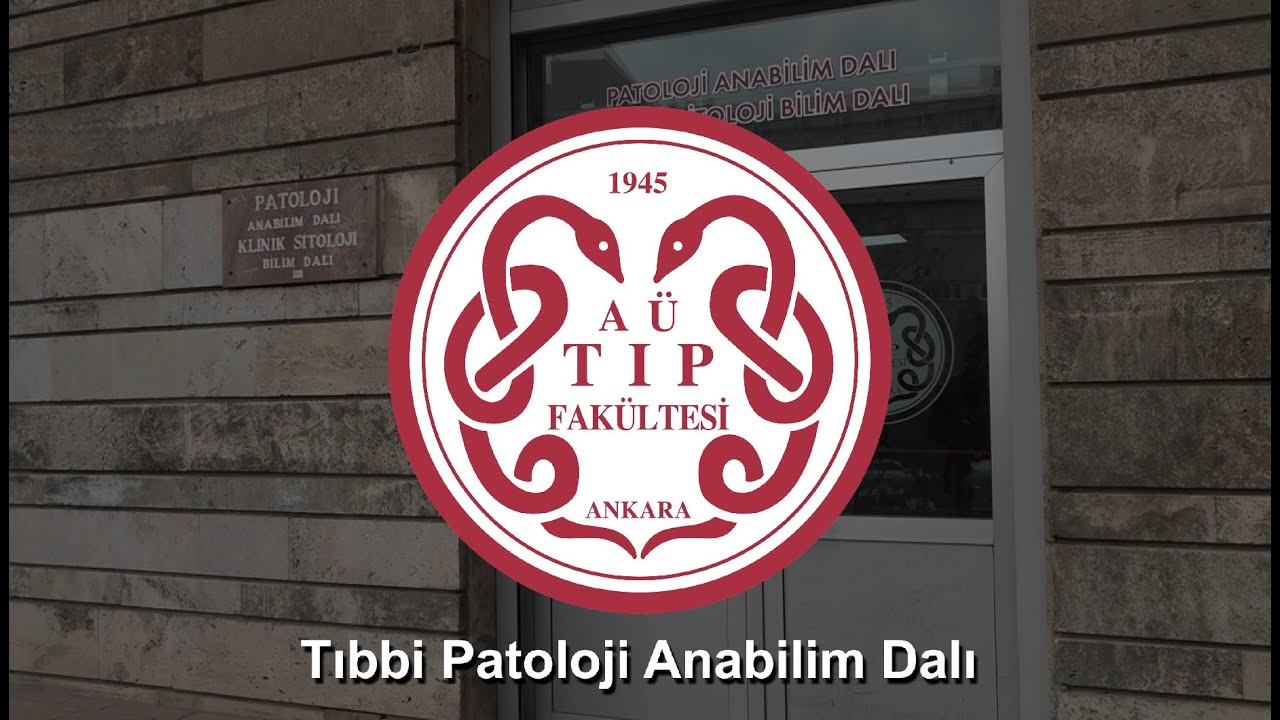 Tıbbi Patoloji Anabilim Dalı Tanıtım Videosu