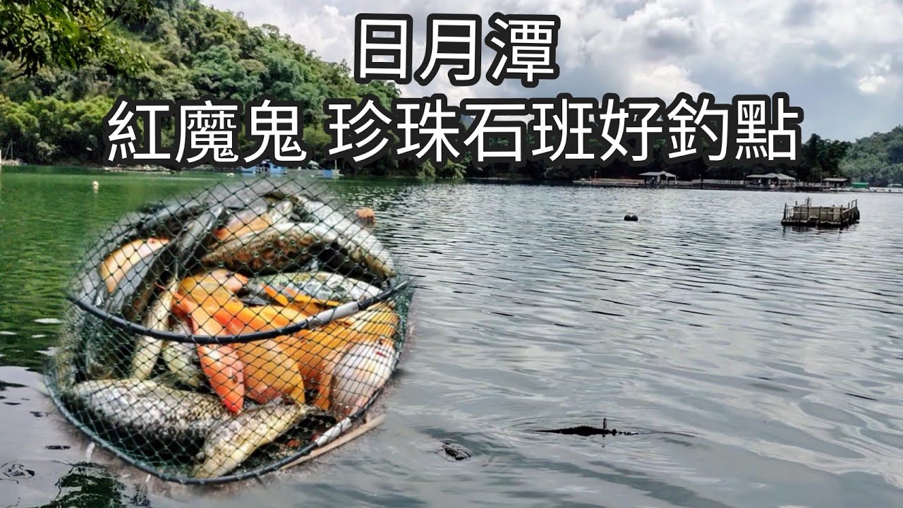 日月潭紅魔鬼 珍珠石班好釣點（六十九集）@Pin338548