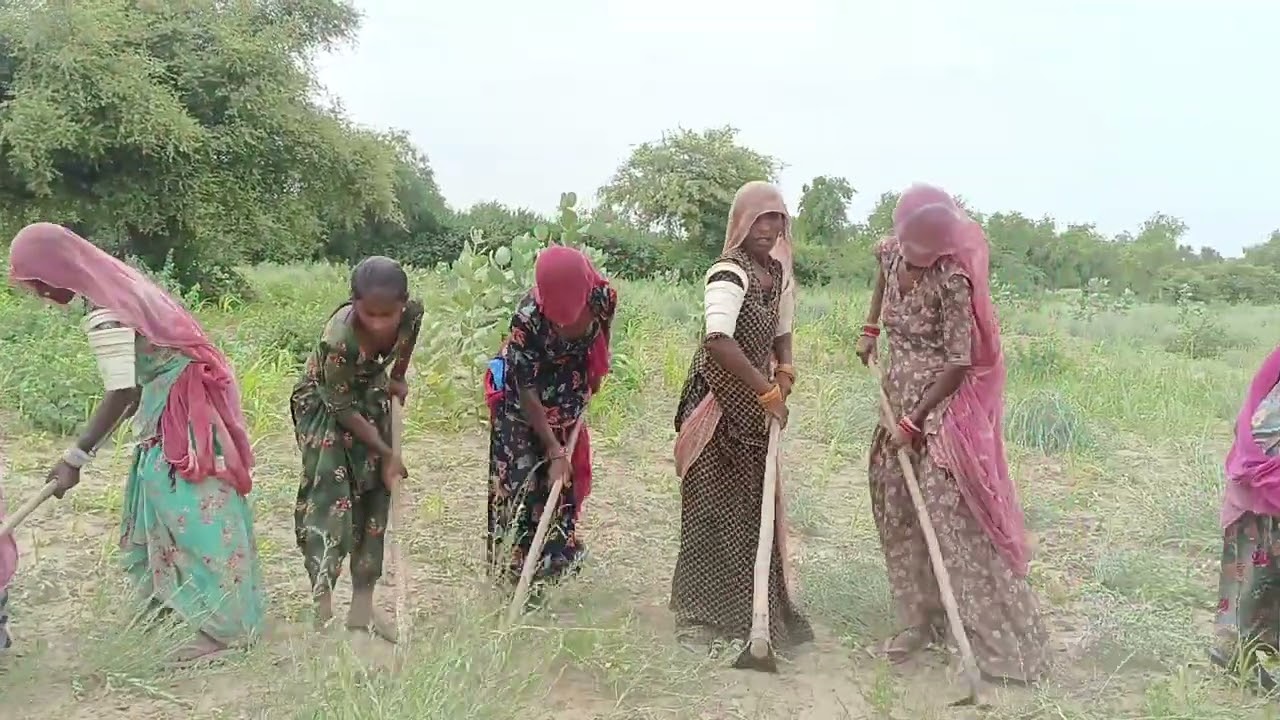 #बरसात रो मीठा गीत #मारवाड़ी महिला @viral 