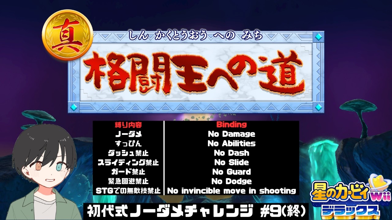 #9(終)【星のカービィ Wii デラックス　初代式ノーダメチャレンジ】FINAL CHALLENGE【真 格闘王への道】
