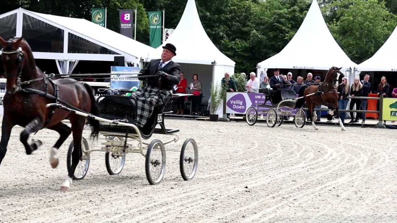 CHEext tuigpaarden 9 juni 2025 deel 3