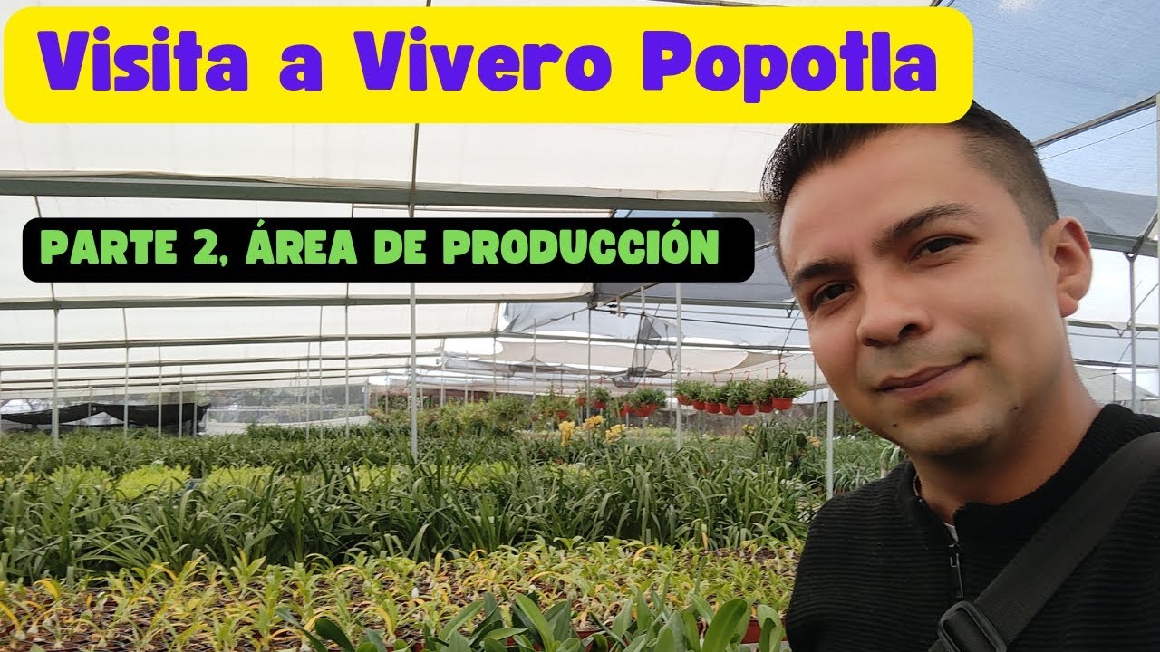 Visita a Vivero Popotla, área de producción. #orquideas #orchids