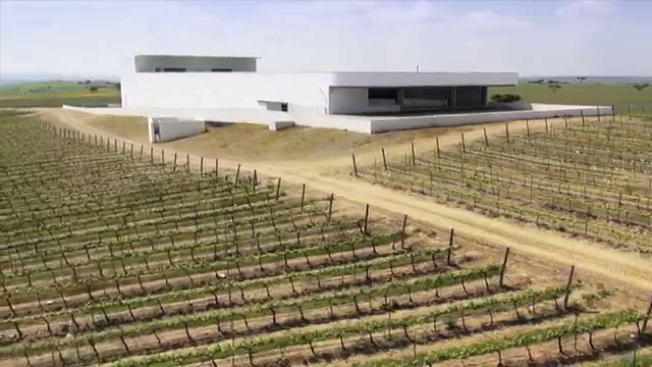 Apresentação Vinho Siza | Adega Mayor