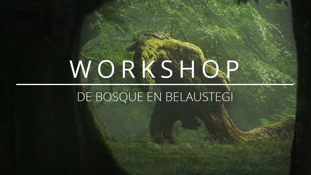 Workshop de fotografía de bosque en el hayedo de Belaustegi