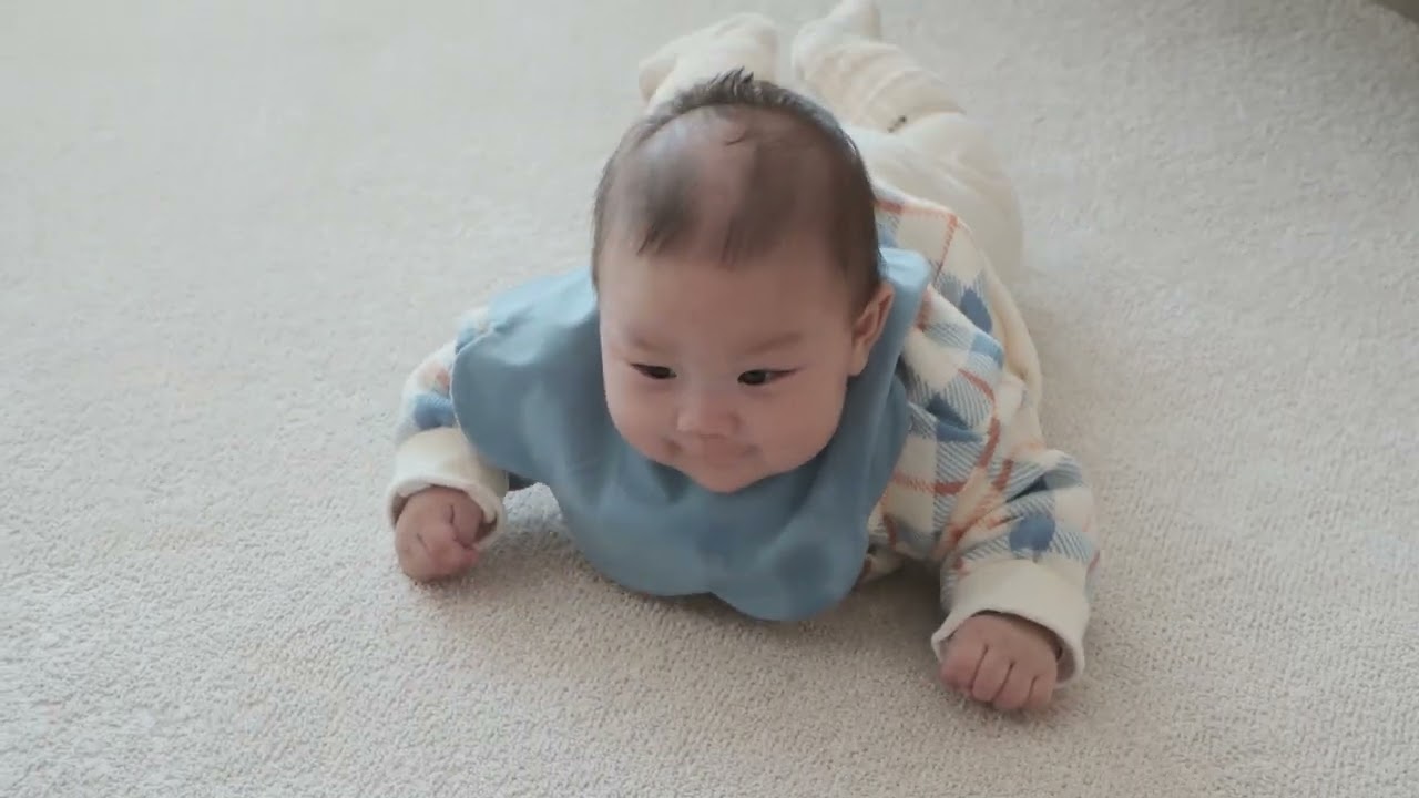 뒤늦은 25년 2월의 청룡이 일상