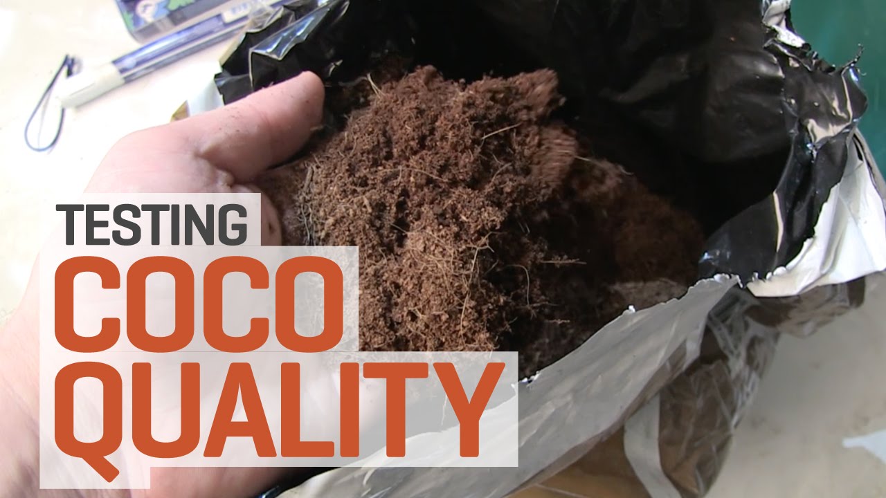Is Your Coco Coir Suitable for Hydroponics?