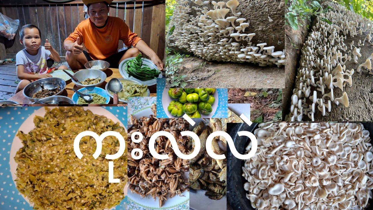 Mushrooms curry ကုးဆူၣ်ဝါကသူ🍄 🍄 🍄 🍄 🍄 