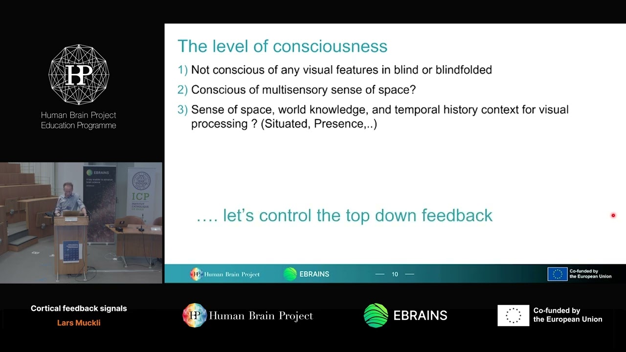 Lars Muckli - Cortical feedback signals