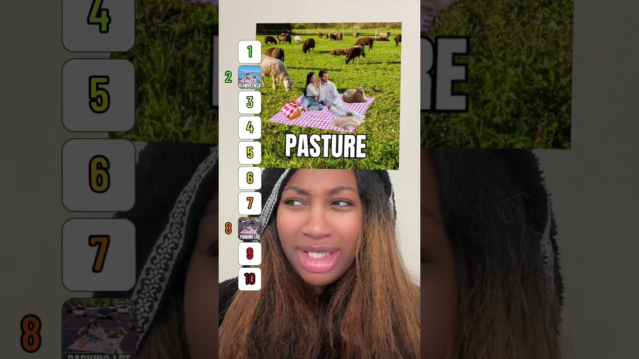 Do you like picnics?? #Shorts #shortsfeed #fyp #trending #trend #tiktok #relatable