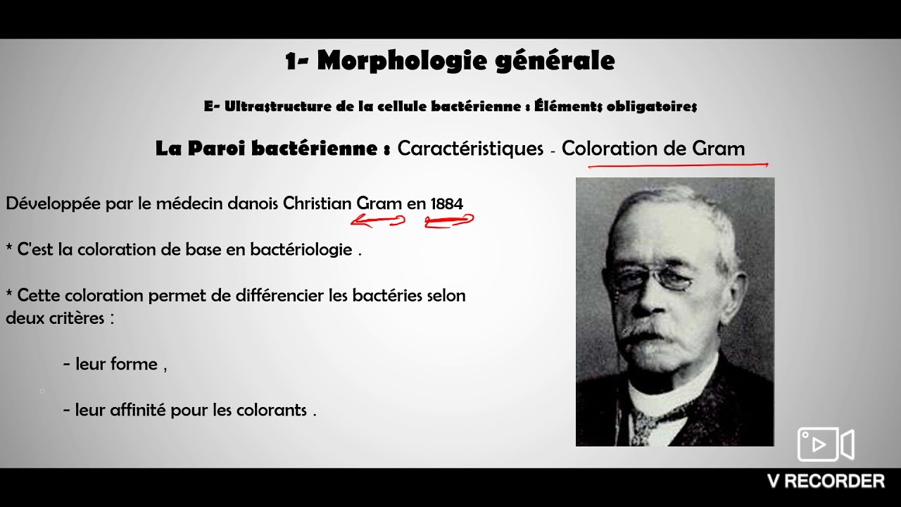 Microbiologie générale - cour 4 : Paroi et coloration de gram