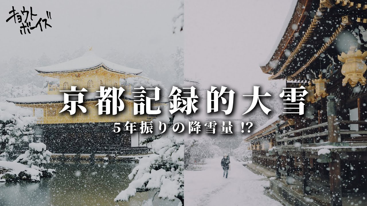 5年振りの降雪量の京都でキョウトボーイズは何してた？【金閣寺・北野天満宮】