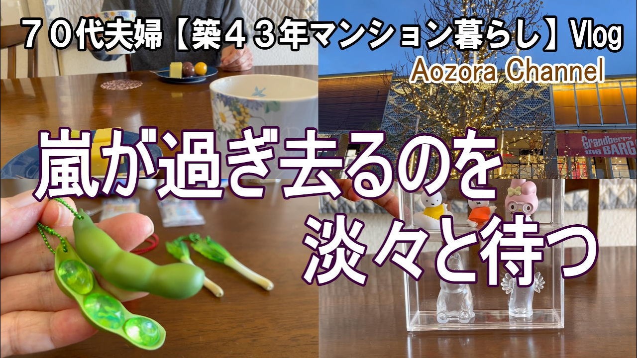 【年金生活】７８歳７２歳夫婦 日々の記録Vlog 嵐が過ぎ去るのを淡々と待つ / シュールなガチャガチャ / おやつは舟和のあんこ玉 /Japanese senior Vlog.